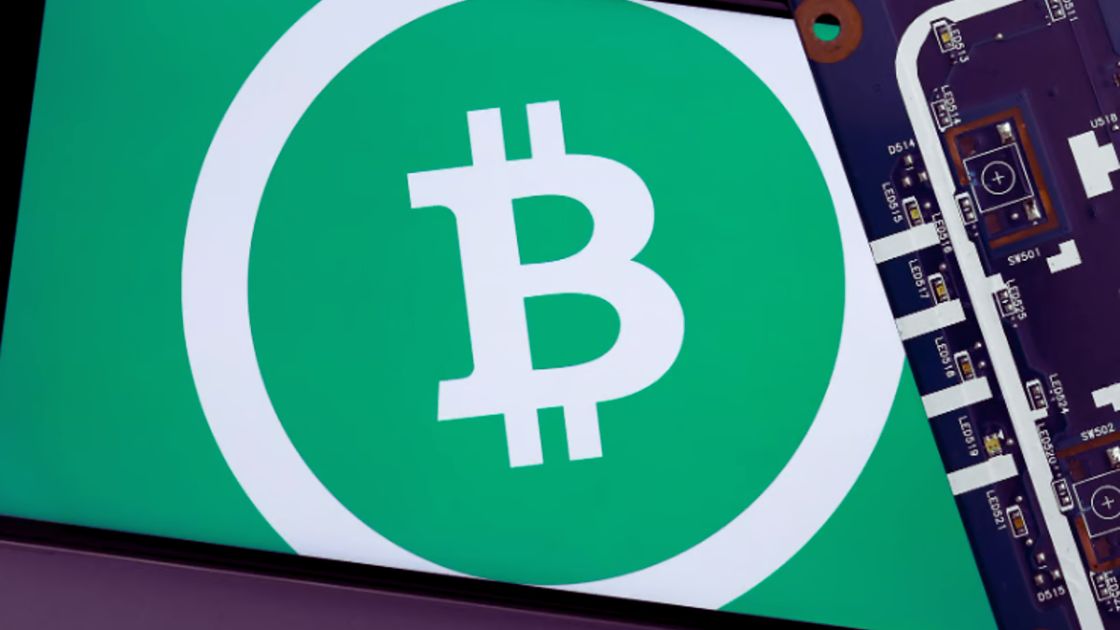 Bitcoin Cash cryptocurrency logo